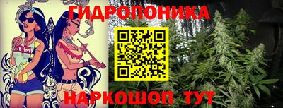 ГАЛЛЮЦИНОГЕННЫЕ ГРИБЫ Обнинск