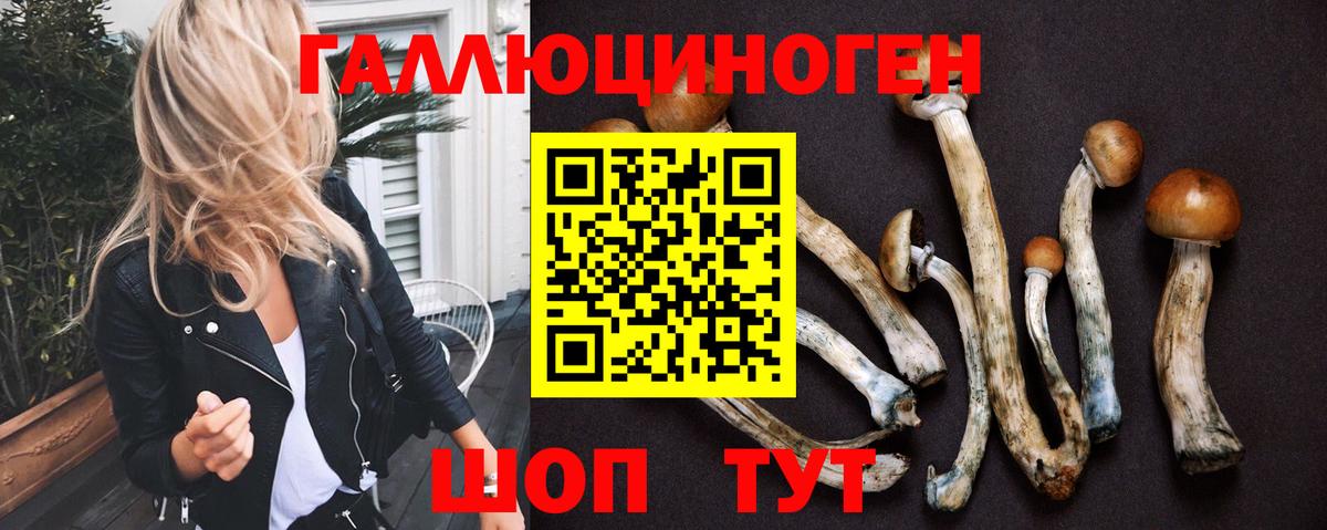 Верхний Уфалей  Псилоцибиновые грибы GOLDEN TEACHER  Вход с VPN  Галлюциногенные грибы MAGIC MUSHROOMS 